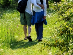 Friends of Flowers 2